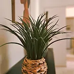 Apartament Oasis Parque 2 Portimão